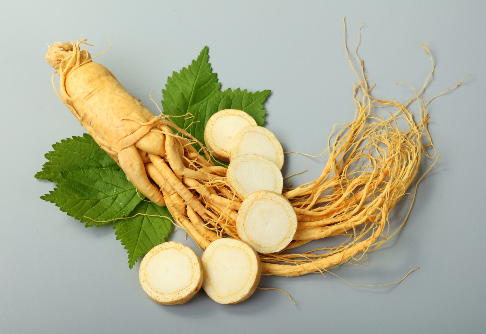 Panax Ginseng